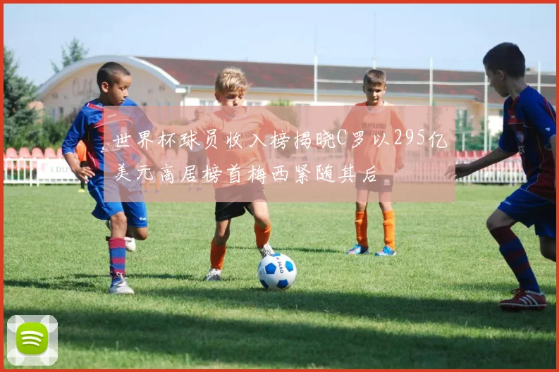 世界杯球员收入榜揭晓C罗以295亿美元高居榜首梅西紧随其后