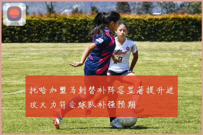 托哈加盟马刺替补阵容显著提升进攻火力符合球队补强预期